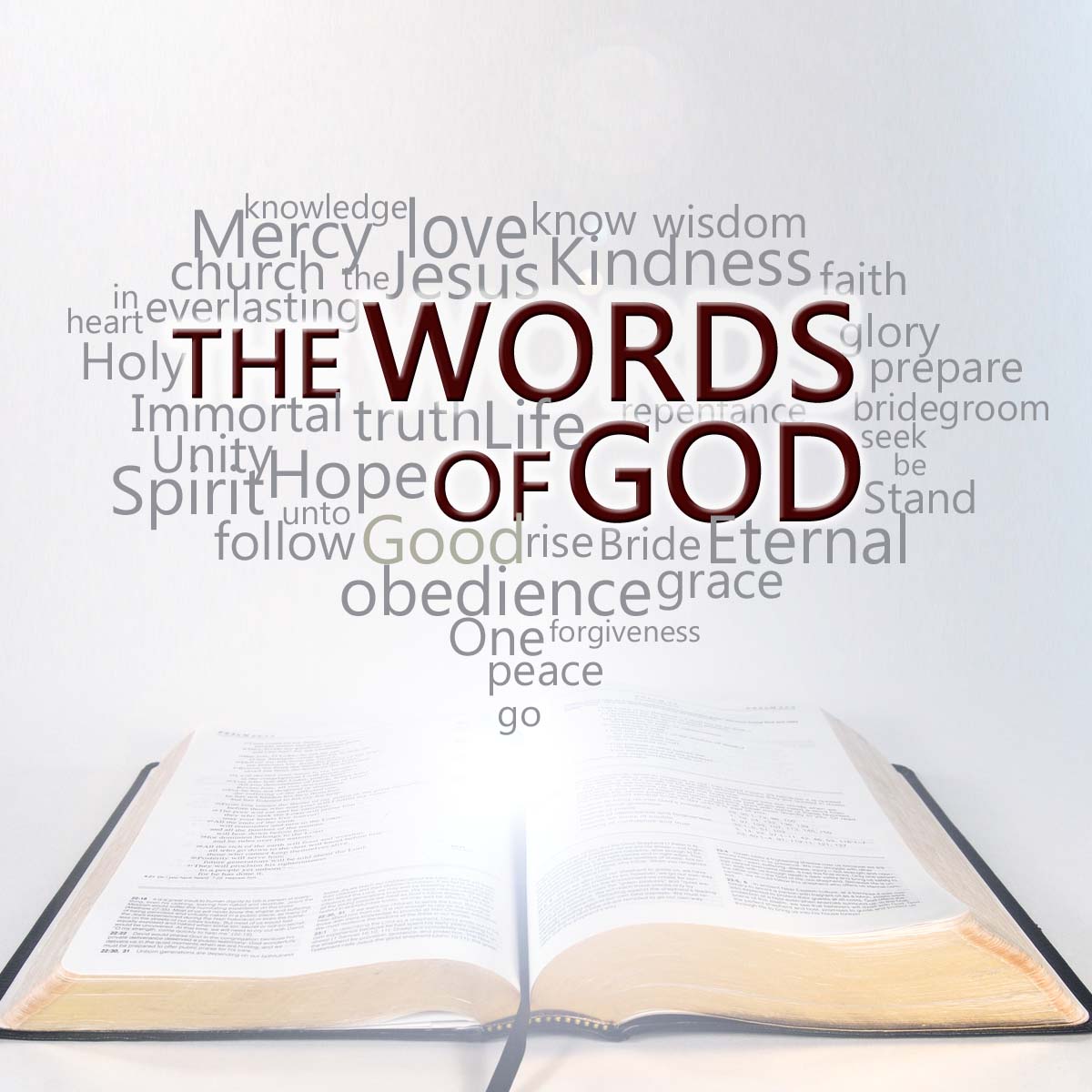 Featured image for “The Words of God”