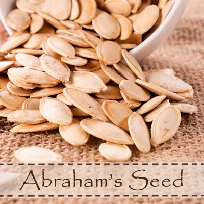 Featured image for “A New Lineage – Abraham’s Seed”