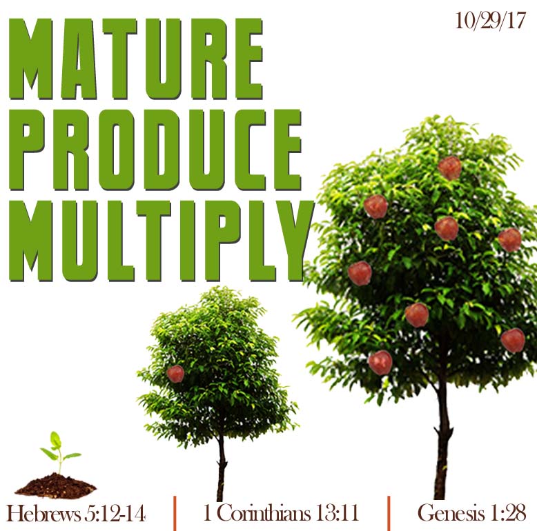 trees fruit united faith church