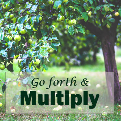 Featured image for “Go Forth and Multiply”