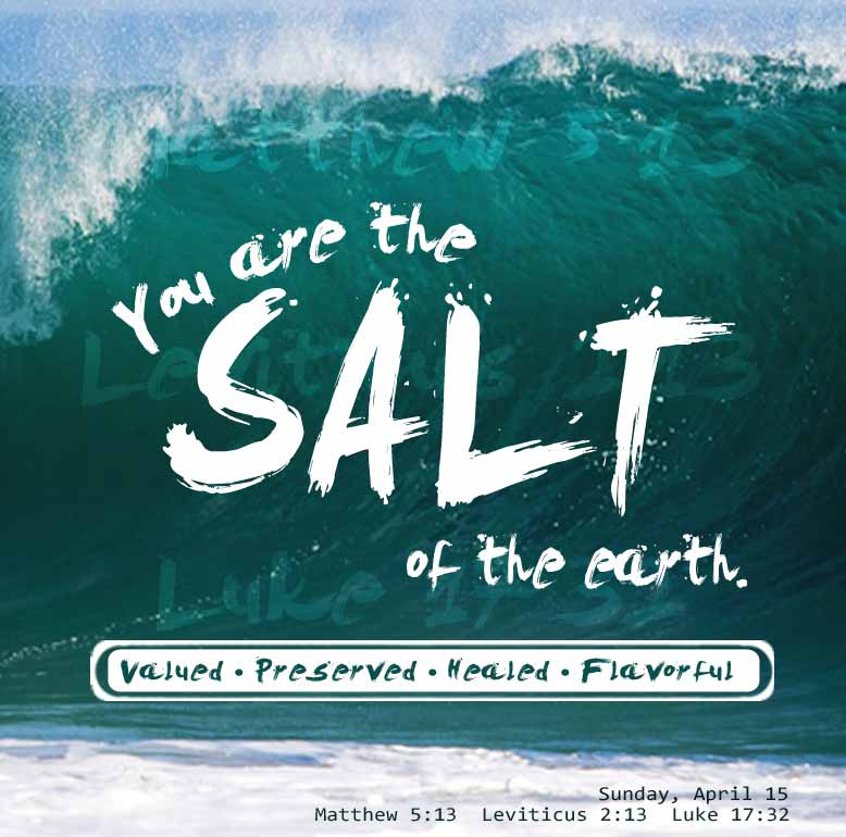 which verse says you are the salt of the earth