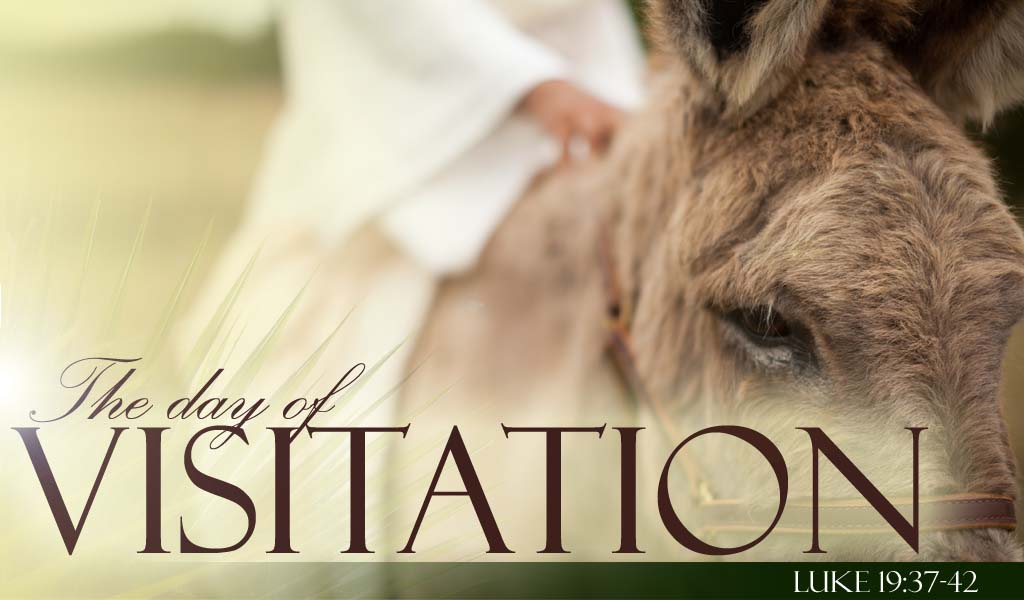 Featured image for “The Day of Visitation”
