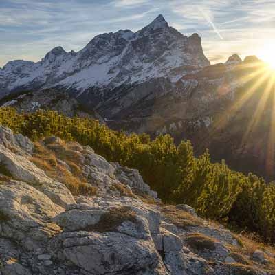 Featured image for “Standing Firm in the Lord”