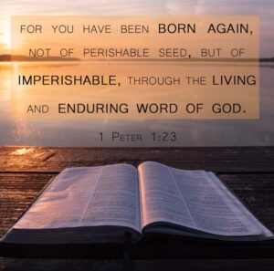 Jesus is the word of God 1 Peter