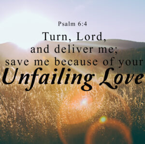 God's unfailing love field