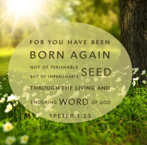 sowing spiritual seeds 1 peter 123
