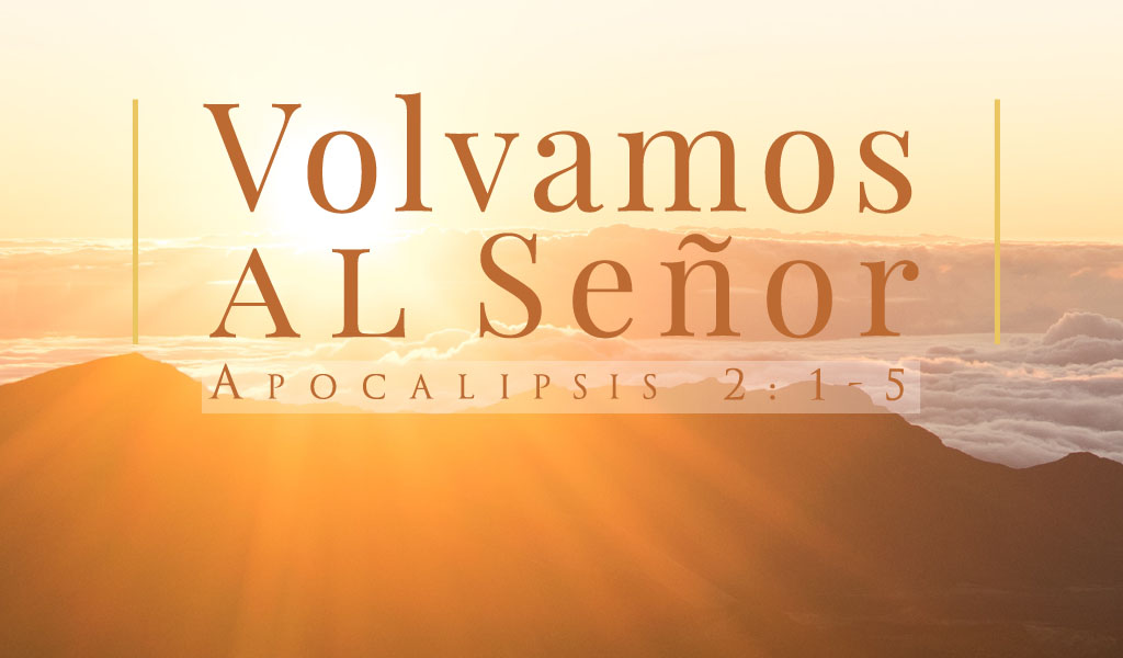 Featured image for “Volvamos al Señor”