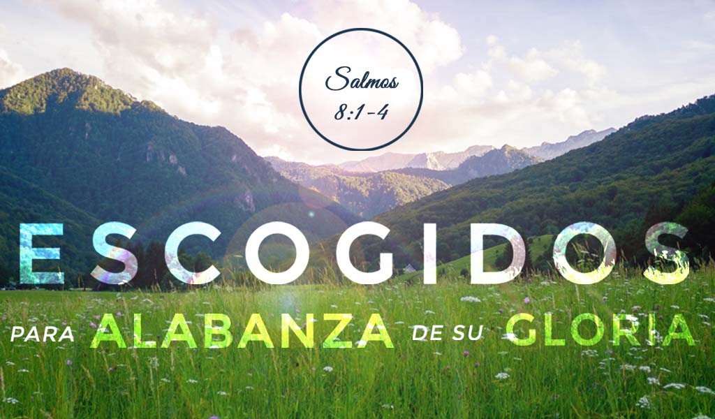 Featured image for “Escogidos Para Alabanza de Su Gloria”