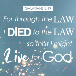 Alive in Christ