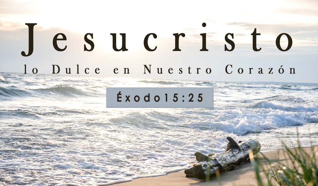 Featured image for “Jesucristo lo Dulce en Nuestro Corazón”