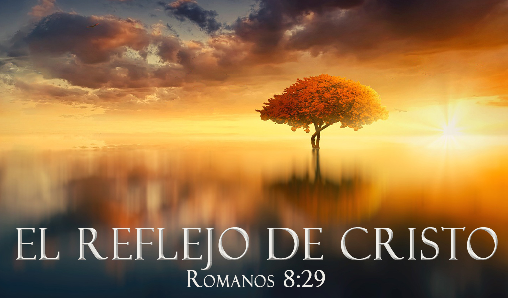 Featured image for “El Reflejo de Cristo”