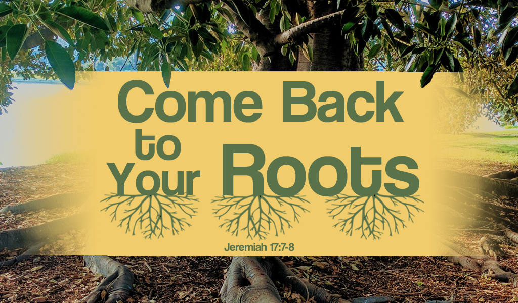 Featured image for “Come Back To Your Roots”