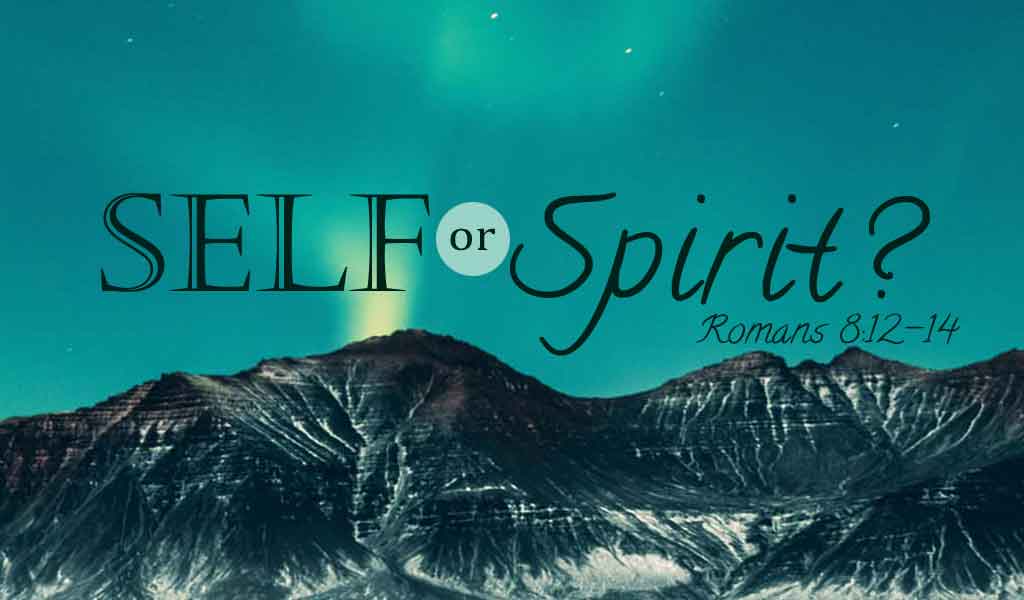 Featured image for “Self or Spirit?”