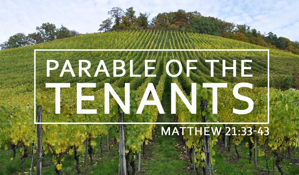 Featured image for “The Parable of the Tenants”