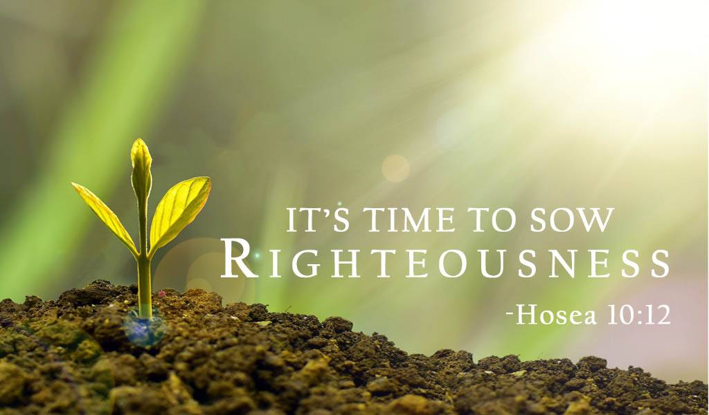 Featured image for “It’s Time to Sow Righteousness”