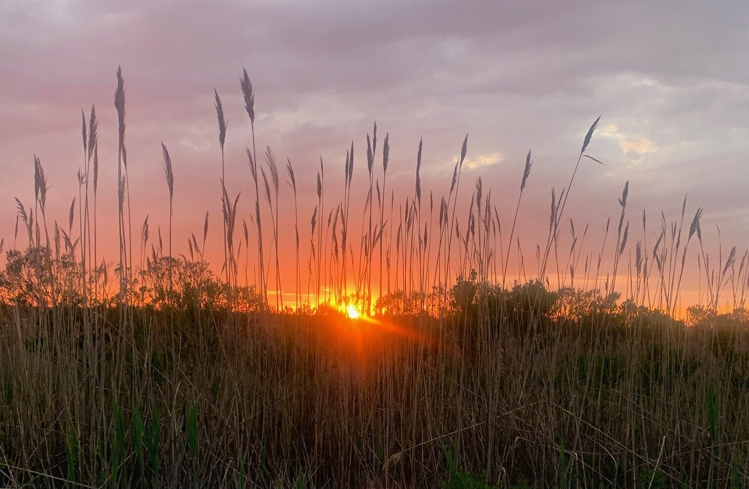 barnegat-awaken-the-dawn