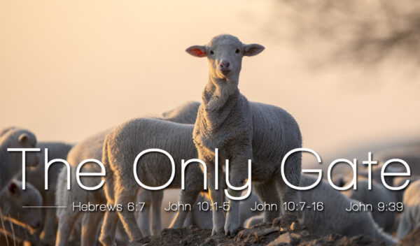 Featured image for “The Good Shepherd – The Only Way to Salvation”