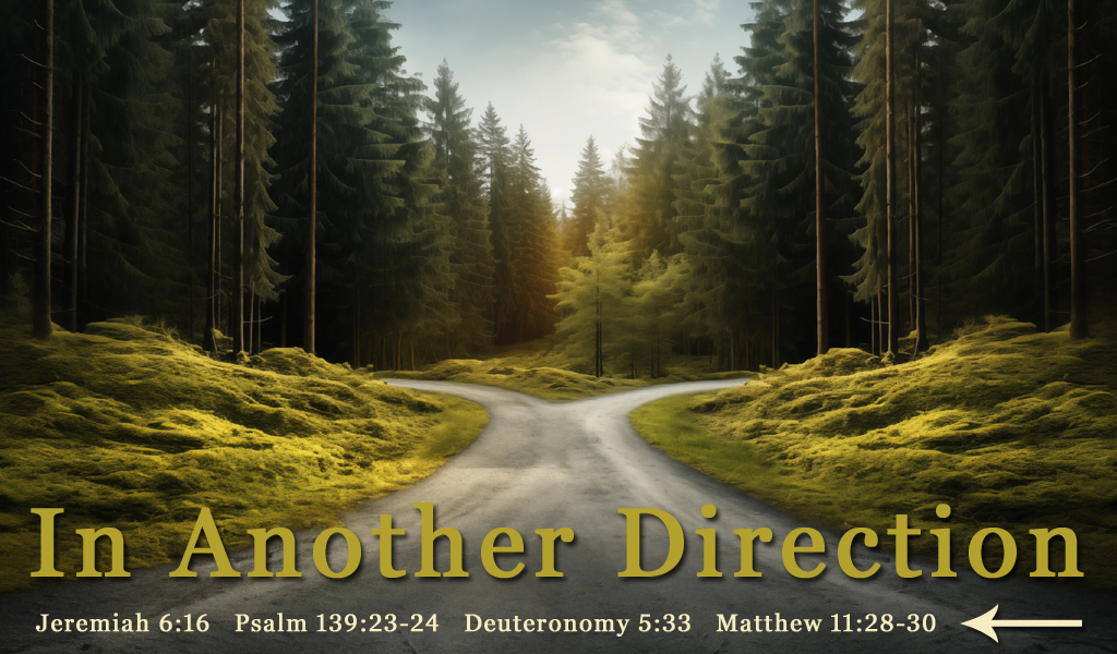 Featured image for “In Another Direction”