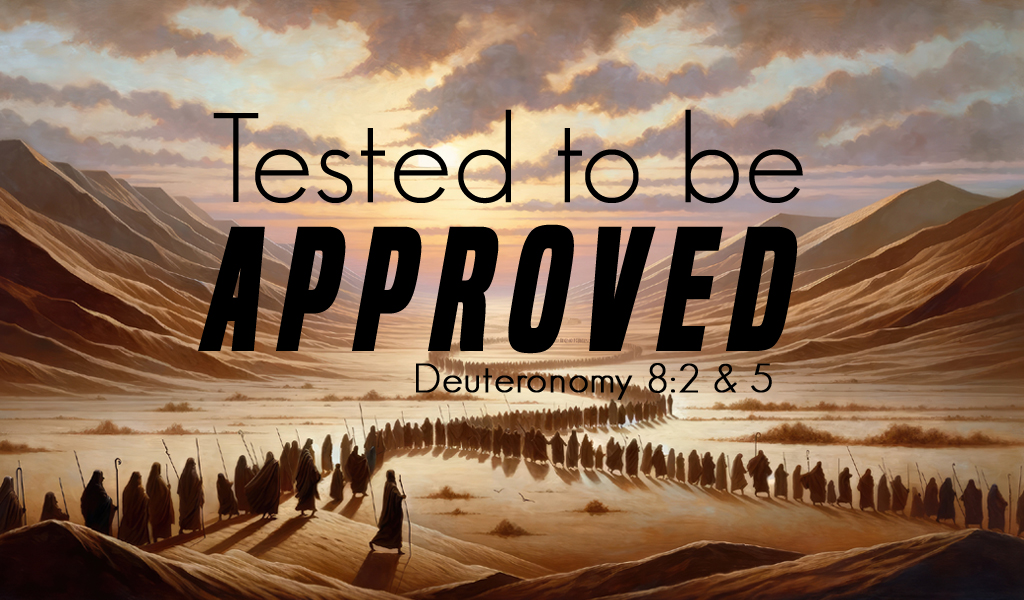 Featured image for “Tested To Be Approved”