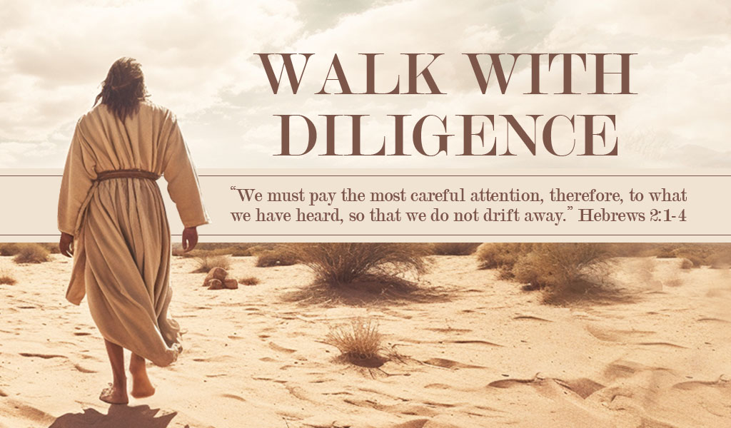 Featured image for “Renew Your Mind and Walk Diligently”