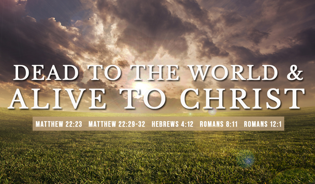 Featured image for “Dead to the World and Alive to Christ”