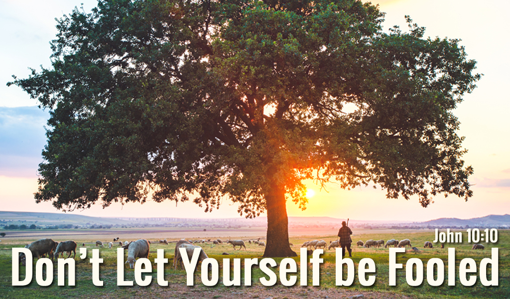 Featured image for “My Sheep Hear My Voice – Praise the Lord!”