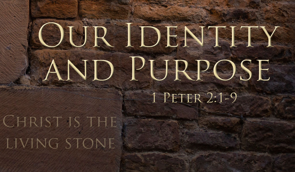 Featured image for “Holy Priesthood – Our Identity and Purpose”