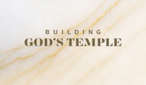 God's Temple, building a temple for God, 2 Chronicles 6:7-9