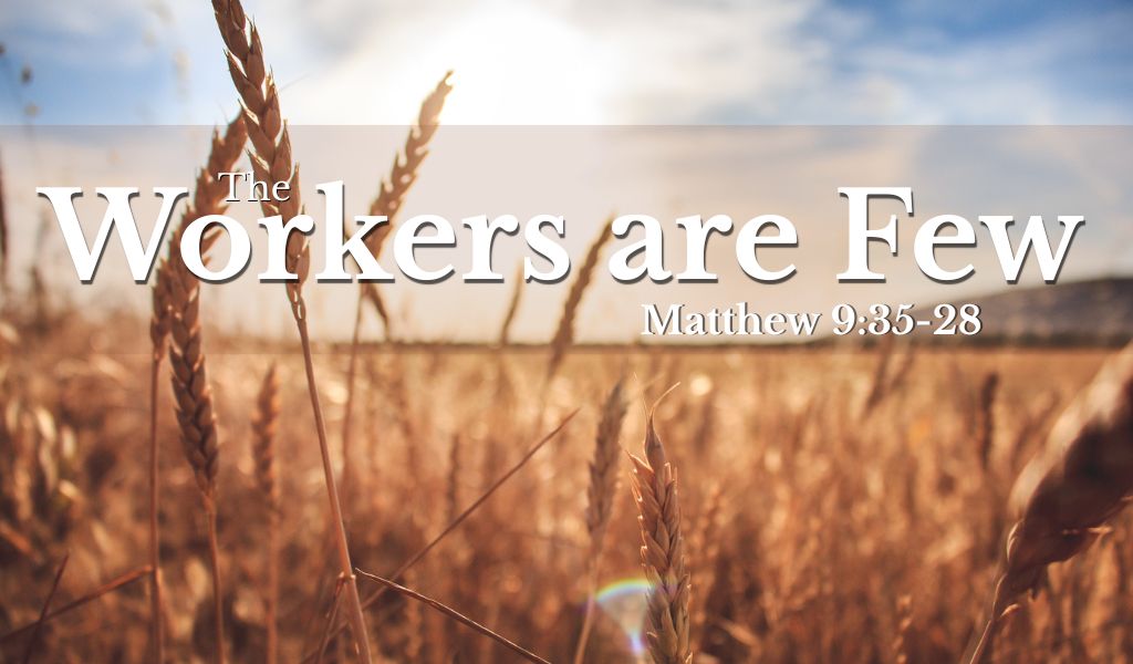 Featured image for “The Workers Are Few”